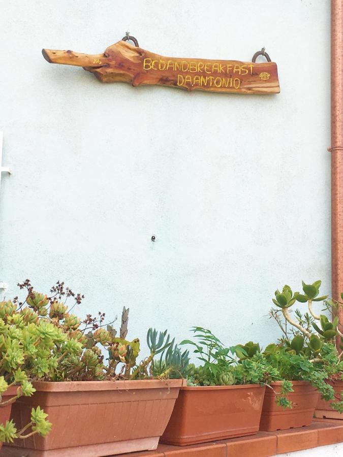 Bed And Breakfast Da Antonio - Orgosolo Luaran gambar